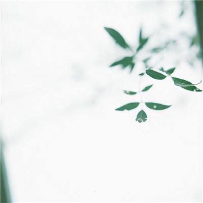 扒扒游最新版下载