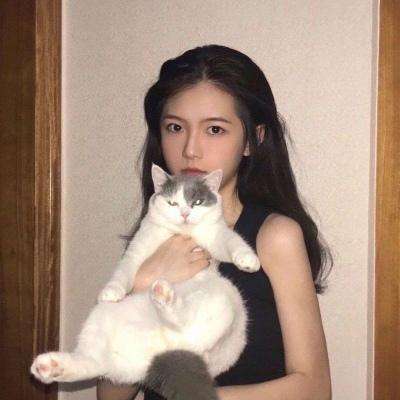 梦回秦时破解版下载